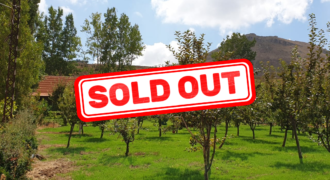 Land For Sale in Laqlouq