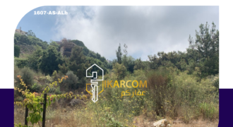 Land for sale in Ain Saade