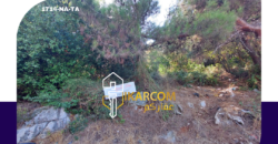 Land for sale in Nabay