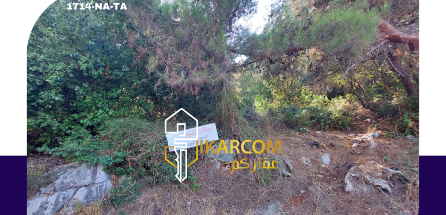 Land for sale in Nabay