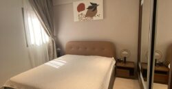 Fully Furnished 2 Bedrooms Luxury Apartment for Rent