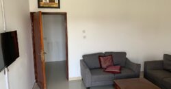 Fully furnished 1 BHK for Rent in Abu Hamour