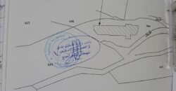 Land for Sale in Hael