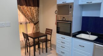 Fully Furnished 1BHK Apartment