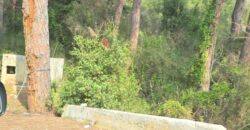 Land for sale in Jouret el ballout