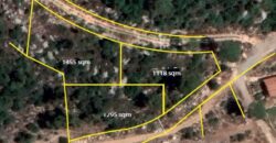 Land for sale in Monteverde Land for sale in Monteverde
