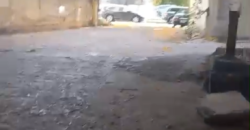 For Rent: Warehouse in Zalka For Rent: Warehouse in Zalka