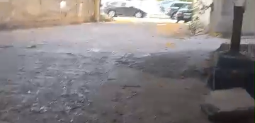 For Rent: Warehouse in Zalka For Rent: Warehouse in Zalka