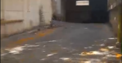 For Rent: Warehouse in Zalka For Rent: Warehouse in Zalka
