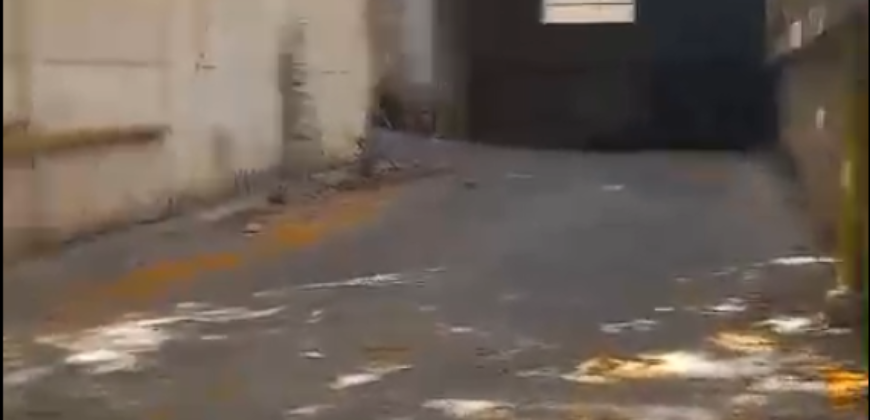 For Rent: Warehouse in Zalka For Rent: Warehouse in Zalka
