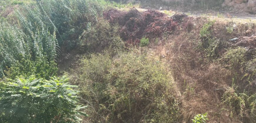 For Sale: Land in Awkar