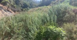 For Sale: Land in Awkar