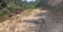 For Sale: Land in Awkar