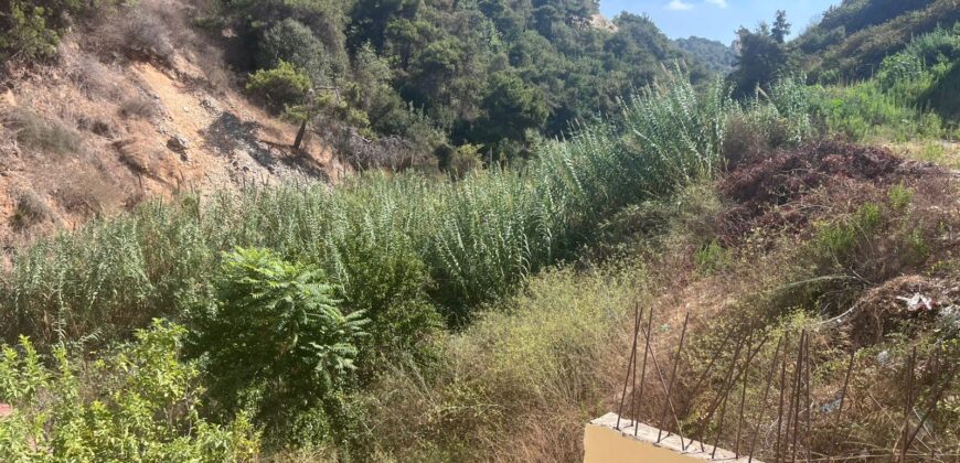 For Sale: Land in Awkar