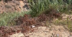 For Sale: Land in Awkar