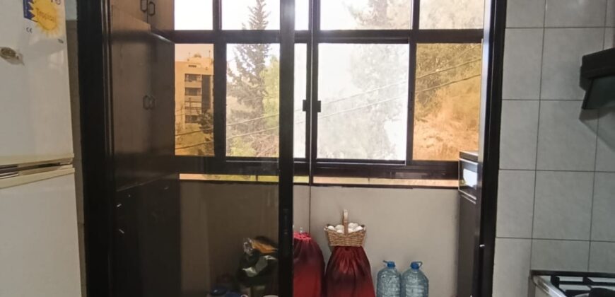 For Sale: Apartment in Biaqout, Metn