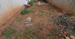 For Sale: Apartment in Biaqout, Metn