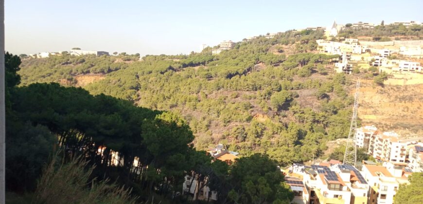 For Sale: Apartment in Mansourieh, Metn