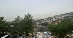 For Sale: Apartment in Bsalim-Metn