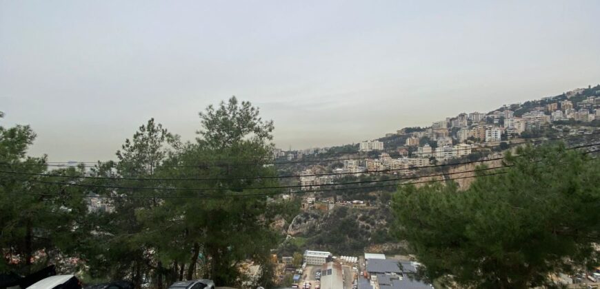 For Sale: Apartment in Bsalim-Metn