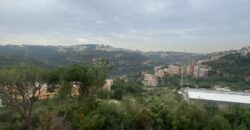 For Sale: Apartment in Monteverde-Metn