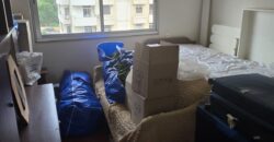 For Sale: Apartment in Zalka-Metn