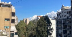 For Sale: Apartment in Ain El Remmeneh