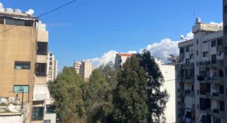 For Sale: Apartment in Ain El Remmeneh