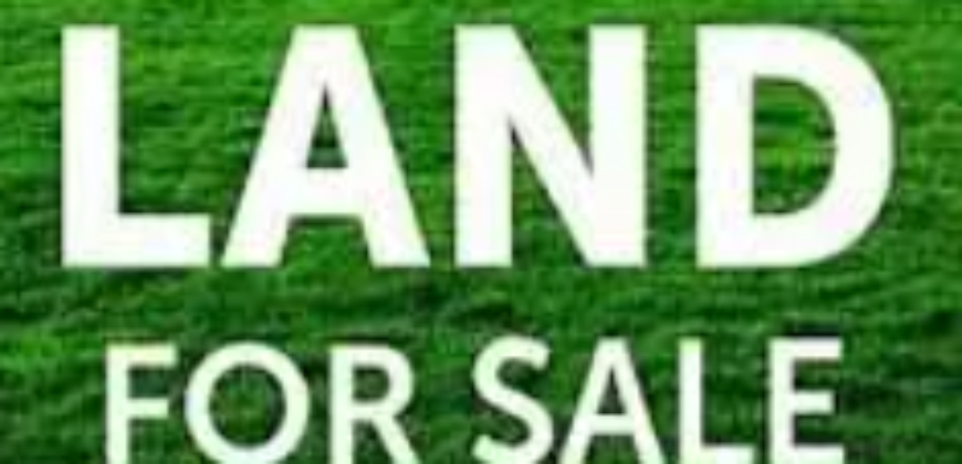 For Sale: Land in Louaizeh