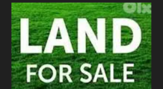 For Sale: Land in Louaizeh