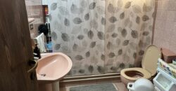 For Sale: Apartment in Mansourieh