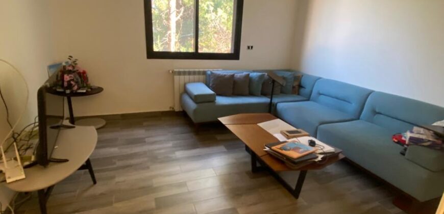 For Sale: Apartment in Monteverde