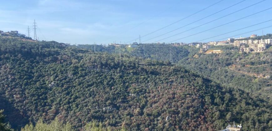 For Sale: Apartment in Monteverde