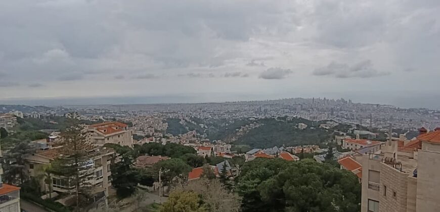 For Sale: Apartment in Ain Saade