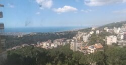For Sale: Apartment in Ain Saade