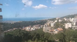 For Sale: Apartment in Ain Saade