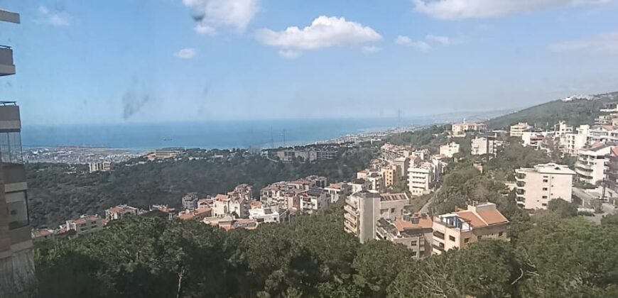 For Sale: Apartment in Ain Saade