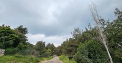 For Sale: Apartment in Konabat Broumana