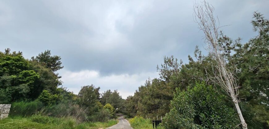 For Sale: Apartment in Konabat Broumana