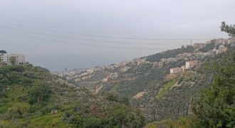 For Sale: Apartment in Nabay