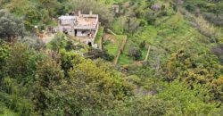 For Sale: Apartment in Nabay