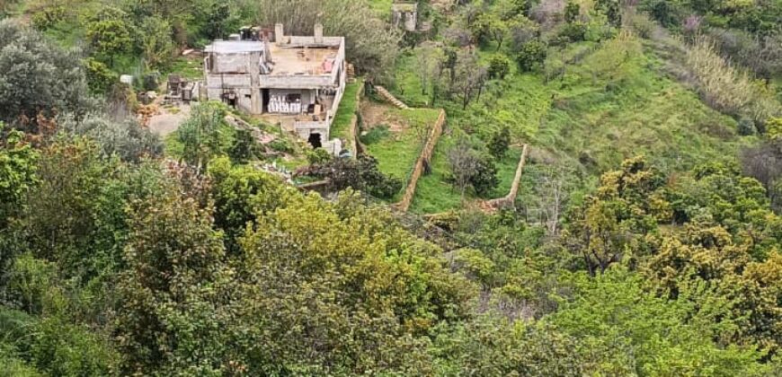 For Sale: Apartment in Nabay