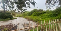 For Sale: Land in Naccache