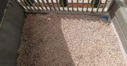 For Sale: Apartment in Bsalim