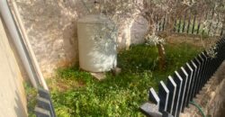 For Sale: Apartment in Dbayeh