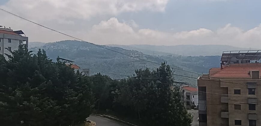 For Sale: Apartment in Daychounieh