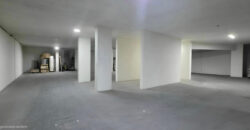 For Sale: Warehouse in Bauchrieh