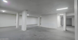 For Sale: Warehouse in Bauchrieh