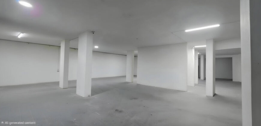 For Sale: Warehouse in Bauchrieh