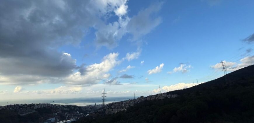 For Sale: Duplex in Ain Saade